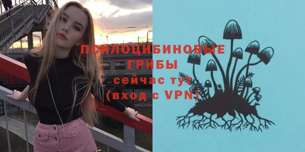 apvp Белоозёрский