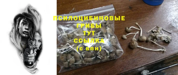 МДМА Белокуриха