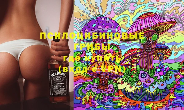 МДМА Белокуриха