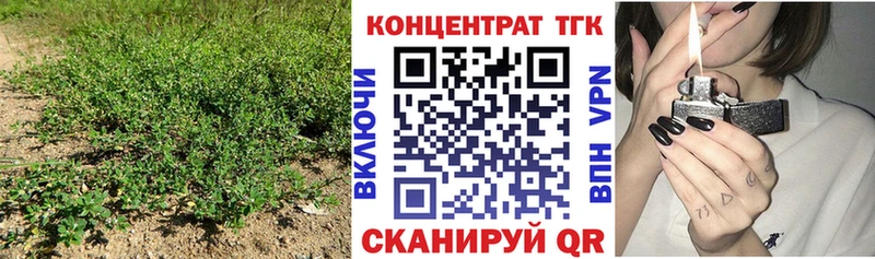 ТГК THC oil  блэк спрут маркетплейс  Ершов 